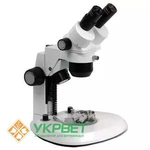 Стереомикроскопы Стереомикроскопы