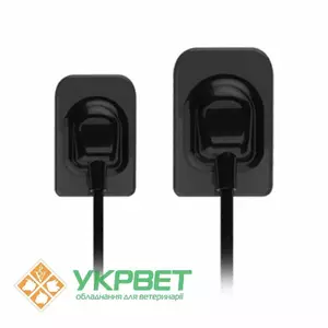 Стоматологические рентгены Стоматологические рентгены